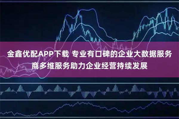 金鑫优配APP下载 专业有口碑的企业大数据服务商多维服务助力企业经营持续发展