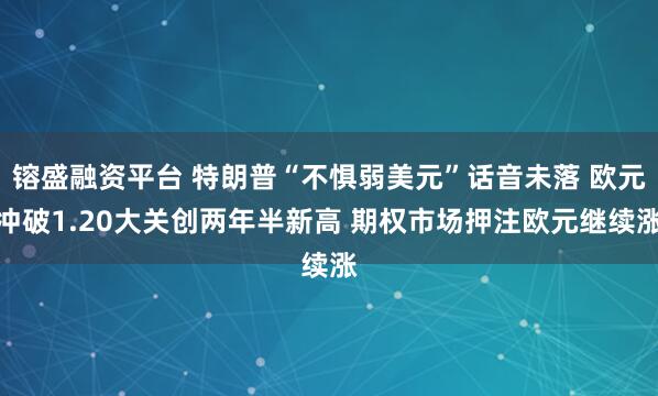 镕盛融资平台 特朗普“不惧弱美元”话音未落 欧元冲破1.20大关创两年半新高 期权市场押注欧元继续涨